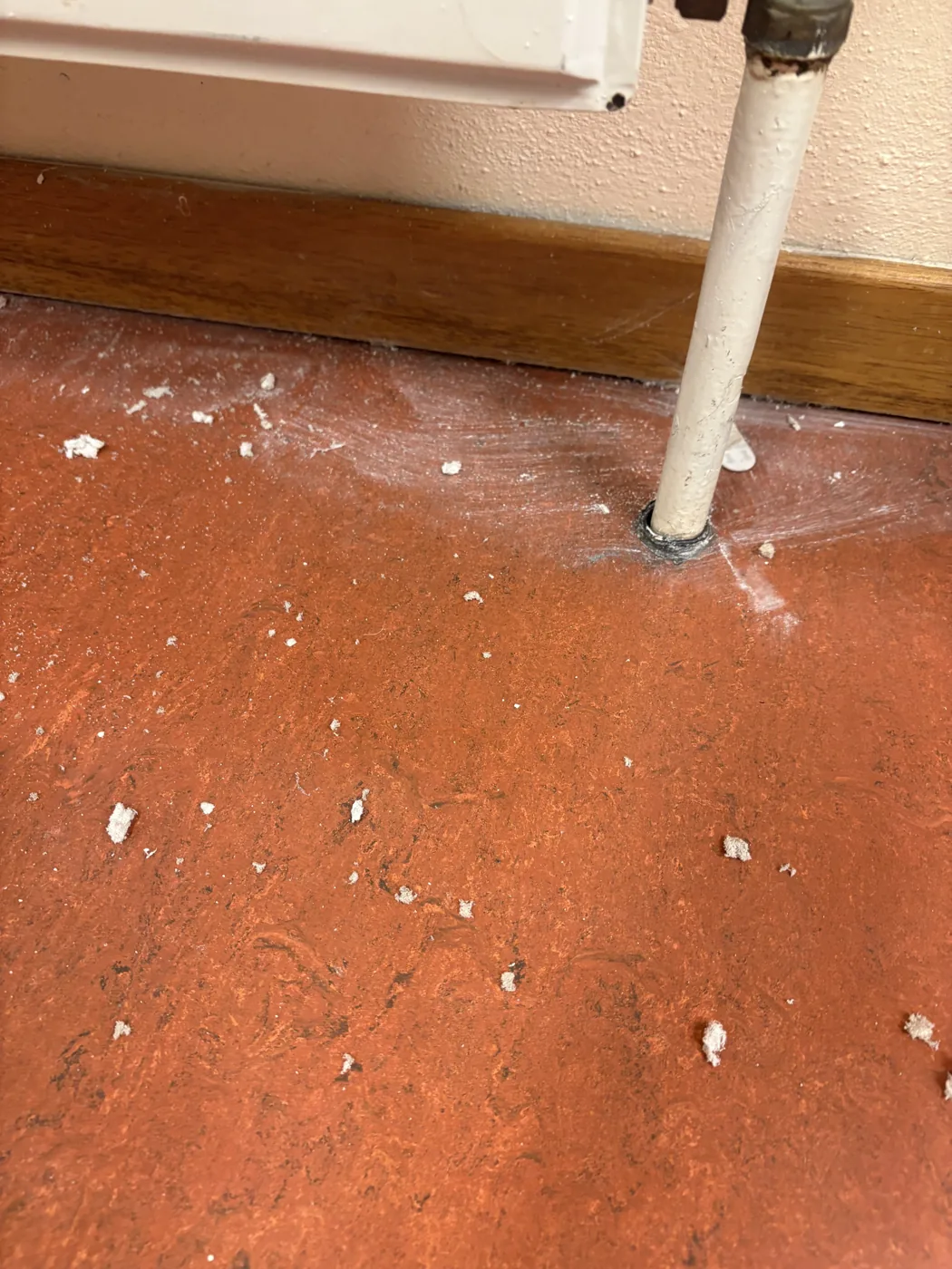 Résidus de plâtre et de colle sur le carrelage avant le lavage final